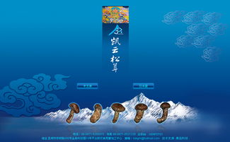 凱云科工貿與奧遠科技 以技術驅動，賦能昆明與云南的數字化轉型